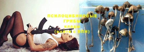 мескалин Арсеньев