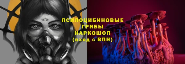 мескалин Арсеньев