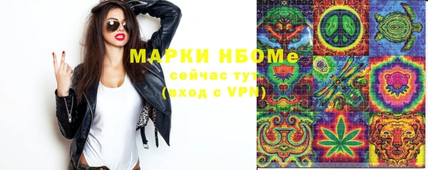 spice Дмитриев